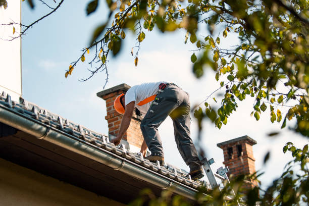 Best Roof Gutter Cleaning  in Cupertino, CA